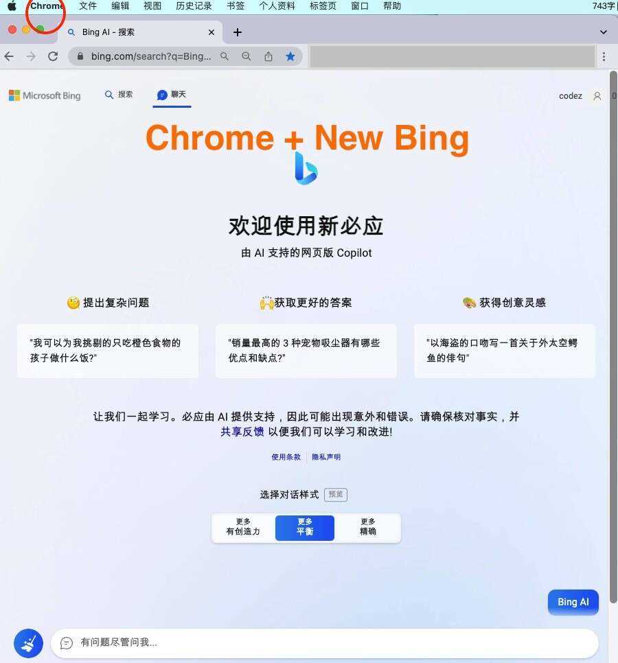 微软New Bing完美聊天机器人源码，支持ChatGPT提示词 国内可用，基本兼容微软 Bing AI 所有功能 - 项目资源网 - 项目资源网