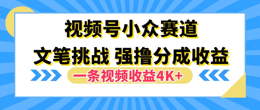 视频号小众赛道，文笔挑战，一条视频收益4K+ - 项目资源网