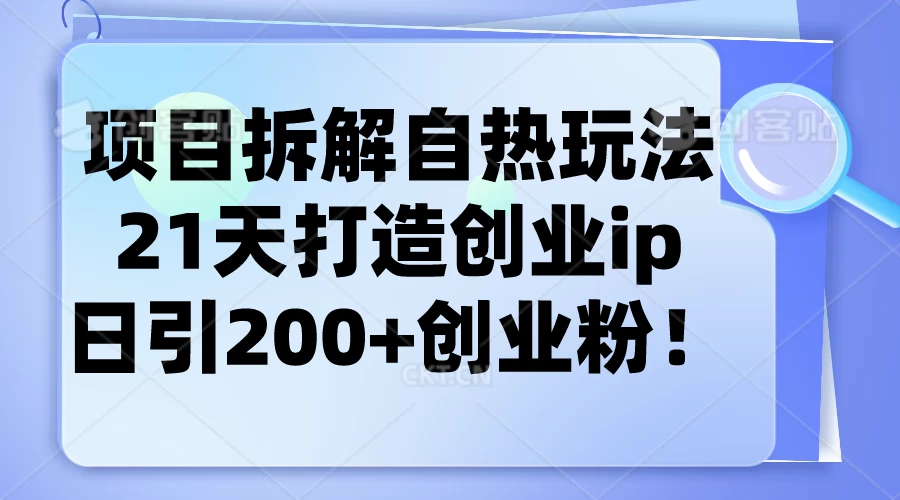 项目拆解自热玩法，21天打造创业IP，日引200+创业粉 - 项目资源网