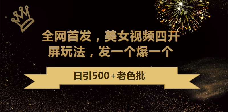 最新成人引流玩法，美女视频四开屏玩法，发一个爆一个，日引流500+精准 - 项目资源网